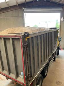 Virutas de Madera, Aserrín para una Limpieza Eficaz a un Precio Bajo Aprobado - Product Image 4