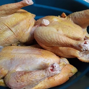 Compre carne de aves de corral entera congelada fresca de alta calidad, entrega rápida, sabor nutritivo saludable de calidad superior - Product Image 1