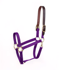 Economy Safety Halter Horse Halter with Name <b>Plate</b> <b>Weight</b> Reduction - Product Image 5