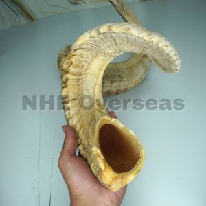 El perro natural sólido del cuerno del carnero mastica golosinas duras duraderas de larga duración para los masticadores pesados por NHE Overseas - Product Image 2