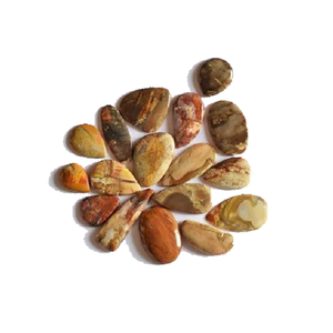 Alta calidad de piedra natural de cristal Petrificado de forma de mezcla de piedras preciosas sueltas cabujón de cristal de piedras preciosas todas las formas cabujón mayorista - Product Image 6