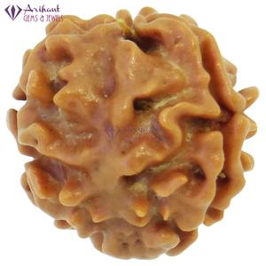 ARIHANT GEMS & JEWELS Perles en bois de Rudraksha népalais 3 Mukhi, Rudraksha marron pour des fins spirituelles - Product Image 3