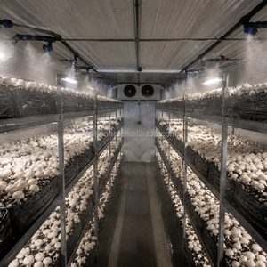 <b>Mushroom</b> Container Greenhouse Automatic <b>Mushroom</b> Growing System Smart Climate Control <b>Farming</b> <b>Equipment</b> - Product Image 3