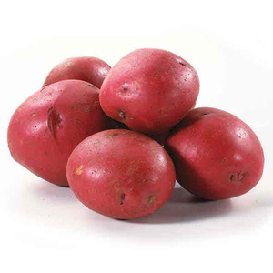 Pommes de terre fraîches biologiques de haute qualité du Brésil, Grade A, OEM ODM, semi-finies, vente en gros à chaud - Product Image 6
