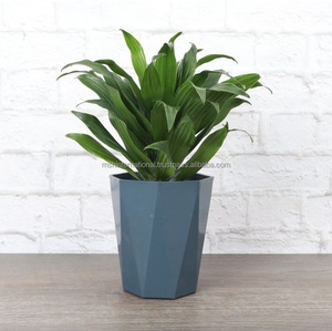 Metal Planters Metal Decorative Bucket Planter for Indoor and Outdoor - Product Image 4