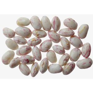 Haricots blancs en gros d'usine avec une valeur nutritive élevée - Product Image 6