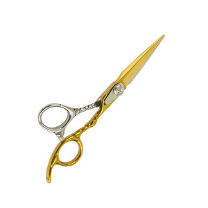 Tijeras de corte de pelo de Color dorado y plateado Tijeras de acero de metal para el hogar y el salón con tornillo de plata y reposapiés - Product Image 2