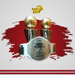 Stainless Steel Sports <b>Trophy</b> <b>Cup</b> Customized Achievement Award Display Durable Premium Quality - Product Image 6