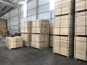 Madera Contrachapada de Eucalipto (LVL) para Uso en Interiores, Espesor 11 mm 120 mm - Product Image 6