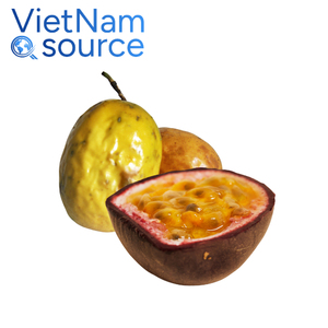 Top 1 Fruit de la passion-Jus d'arôme tropical frais Fruit de la passion riche en douceur naturelle Fruit de la passion-de Viet Nam Factory - Product Image 4