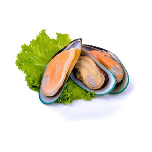 Mejillones cocidos enteros de calidad premium congelados Mariscos frescos de granja A granel Refrigerado Limpio Grado de exportación Mariscos frescos de calidad premium - Product Image 1
