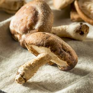 Champignons entiers shiitake frais séchés-edodes lentinus de haute qualité - Product Image 5