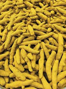 Racine de curcuma brute de qualité supérieure, riche en curcumine naturelle, soutient l'immunité, bienfaits anti-inflammatoires, bâtonnet sain - Product Image 5