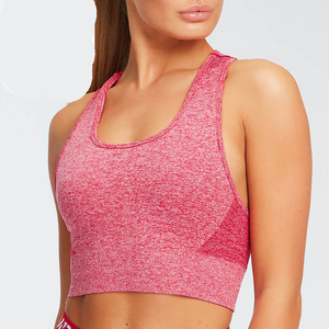 Sujetadores Deportivos de Alta Calidad en Spandex/Nylon, Tallas Grandes, Alta Sujeción, Secado Rápido, para Yoga y Entrenamiento, para Mujer - Product Image 5