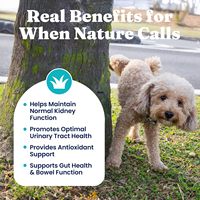 Complément de Canneberge en Granulés pour Chiens et Chats - Riche en Protéines, Absorption Rapide, Contrôle de la Vessie, Soutien des Voies Urinaires, D-Mannose, Vitamines