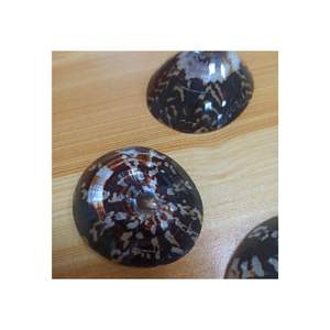 PRECIO A GRANEL CARACOL SEASHELL SOUVENIR LIMPET SHELL ARTESANÍA HECHO EN VIETNAM LISTO PARA ENVIAR - Product Image 4
