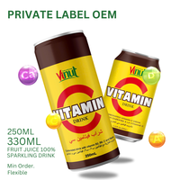 Private Label Oem-Gezond Dieet 250Ml Vitamine C Energie Koolzuurhoudend Blikje Drinken-Beste Prijs Groothandel Drankvrij Monster
