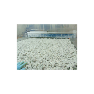 ก้อนผลไม้มังกรแช่แข็งคุณภาพจากเวียดนามสีแดงและสีขาวธรรมชาติ - Product Image 5