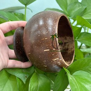 Taza de Cáscara de Coco Artesanal de Proveedor/OFERTA ESPECIAL para Taza de Cáscara de Coco Ecológica Reutilizable con Precio Económico - Product Image 3