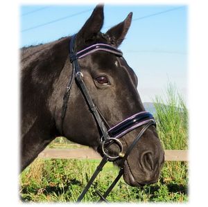 FREEDOM, logotipo personalizado, brida de caballo occidental anatómica, interruptor de tocado, Cavesson Flash Rein, bolsa de brida, equipo de equitación de nailon - Product Image 3