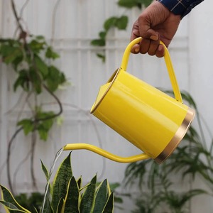 Arrosoir à revêtement en poudre métallique avec Long bec pour une utilisation intérieure et extérieure | Meilleur outil de jardinage domestique 2 litres - Product Image 3