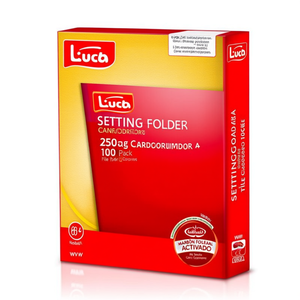 Leitz Setting <b>Folder</b> <b>A4</b> 250g Cardboard 100 Pack-<b>File</b> <b>Folder</b> Accessories - Product Image 2