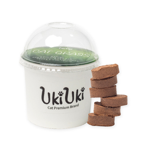 [UKIUKI] Herbe à chat, herbe pour animaux de compagnie, herbe à chat biologique, plante d'intérieur pour animaux de compagnie, herbe à chat saine, herbe fraîche pour chat, plante de soutien digestif pour chat - Product Image 2