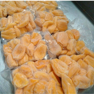 MEILLEURE EXPORTATION DE FRUITS CONGELÉS VIETNAMIENS | PREMIUM NATUREL CONGELÉ JACKFRUIT OFFRE EN GROS - Product Image 1