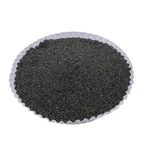 Nouveau produit de haute qualité : Graines d'épinards standard BCA, qualité supérieure, best-seller, vente en gros d'Indonésie (Jember), durée de conservation de 6 mois - Product Image 4