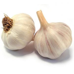 Ail blanc avec une durée de conservation de 2 ans, stockage au frais et à sec à un prix compétitif - Product Image 2