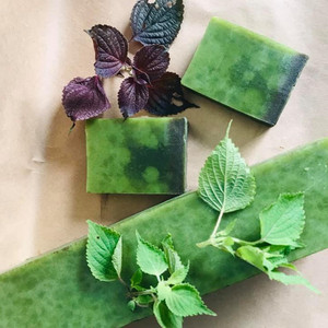 Gomme de haricot périlla Viet Delta 100% Bio perillasoap Soapberry Miel perilla ANGLE - Product Image 3