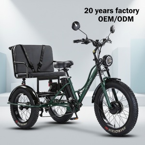 NUEVO Triciclo Eléctrico de Litio de 3 Ruedas de 24 Pulgadas, 600W/750W, con Asiento Trasero para Pasajero y Doble Amortiguador - Product Image 2