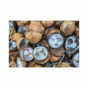 เชิงเทียนกะลามะพร้าวธรรมชาติวัสดุสำหรับทำชาม/ถ้วยราคาดีที่สุดจากเวียดนาม - Product Image 4