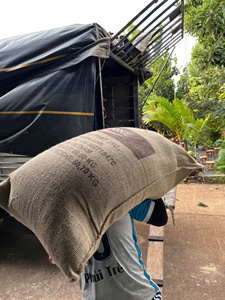 เมล็ดกาแฟโรบัสต้าสีเขียว _ กระบวนการธรรมชาติ S18 บรรจุภัณฑ์ขนาดใหญ่ 60 กก./ถุง แหล่งผลิตเจียไล ประเทศเวียดนาม ขายส่งเพื่อการส่งออก - Product Image 5