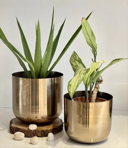 Jardinières en acier inoxydable avec revêtement en poudre, élégantes et luxueuses, support en fer, durables, écologiques, pots à fleurs, design créatif et élégant, intérieur - Product Image 1