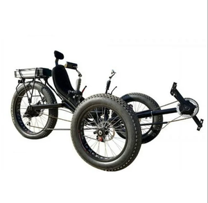 Tricycle électrique à pédales à carrosserie ouverte avec pneus larges, tricycle couché pour passagers, choix du vendeur - Product Image 1