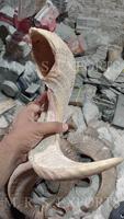 Corne de Shofar de mouton de haute qualité très demandée, polie, écologique, fabriquée en Inde, prix abordables, objet de collection artistique