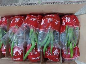 Fruit du dragon frais vietnamien d'origine FARM Vietnam Meilleur prix pour l'exportation - Product Image 2