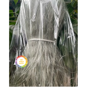 วุ้นเส้นบเส้นแบบ arrowroot วัสดุธรรมชาติคุณภาพสูงสินค้าส่งออกจากผู้ผลิตในเวียดนาม - Product Image 1
