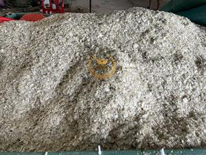 ESCUCAS DE PESCADO SECAS A PRECIO ECONÓMICO DE VIETNAM - Product Image 6