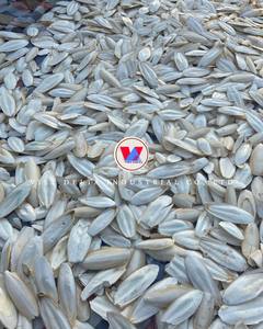 Os de seiche pour complément de calcium chez les animaux de compagnie/chats - Product Image 1