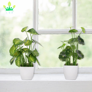 4 pièces petites plantes en pot artificiel Mini ensemble feuilles persistantes feuille <span class=keywords><strong>de</strong></span> Lotus trèfle Luau feuille pour bureau Table maison bureau chambre décor - Product Image 6