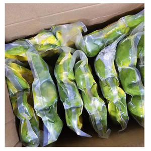 Mitades de puré de aguacate congelado de calidad de exportación, al mejor precio de Vietnam - Product Image 1