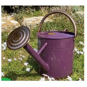 Regadera Decorativa de Metal, Diseño Artesanal, Forma Personalizada, Artículo de Uso, Aspecto Elegante, Estilo Moderno - Product Image 1