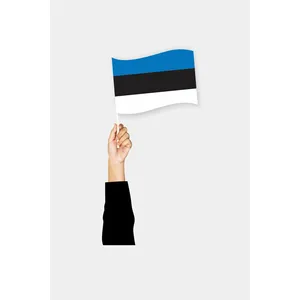 Drapeau à main personnalisé avec logo d'Estonie - Product Image 1