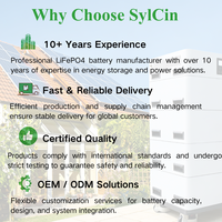 Système de gestion de batterie intelligent BMS 16S 48V 3.2V LiFePO4 200A avec écran LCD, communication RS485 RS232 CAN
