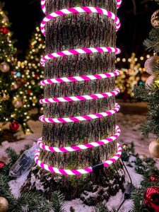 Luce a Corda LED Magica Stile Bastoncino di Zucchero 10m Decorazione Festiva Luminosa per Applicazioni Paesaggistiche - Product Image 3