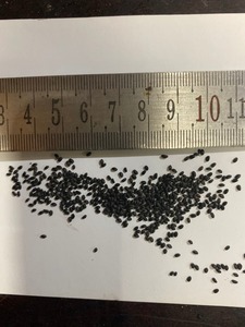 Vente de boissons de saison chaude-graines de basilic de haute qualité du Vietnam - Product Image 5