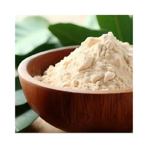 Polvo de Almendra Dulce de Calidad Superior, Grado Alimenticio, Secado por Aspersión, Color Marrón Claro, 100% Natural, Empaquetado a Granel, Precio Competitivo - Product Image 1