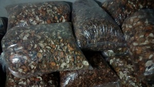 2024 citron vert salé de haute qualité du Vietnam goût aigre séché avec emballage en vrac et emballage sous vide - Product Image 2